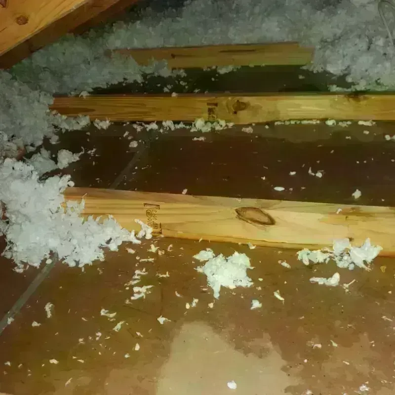 Attic Water Damage in Selby, SD