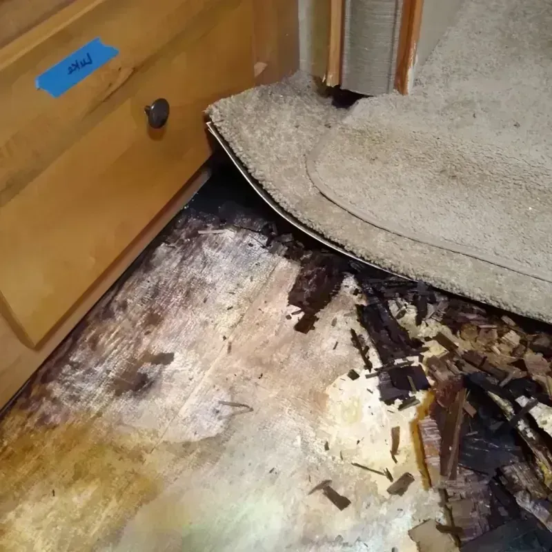 Best Wood Floor Water Damage Service in Selby, SD